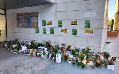 Ecoloiola proiektuak geletan jarraitzen du